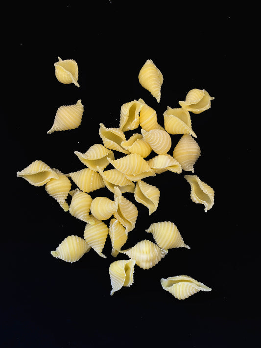 conchiglioni 100g